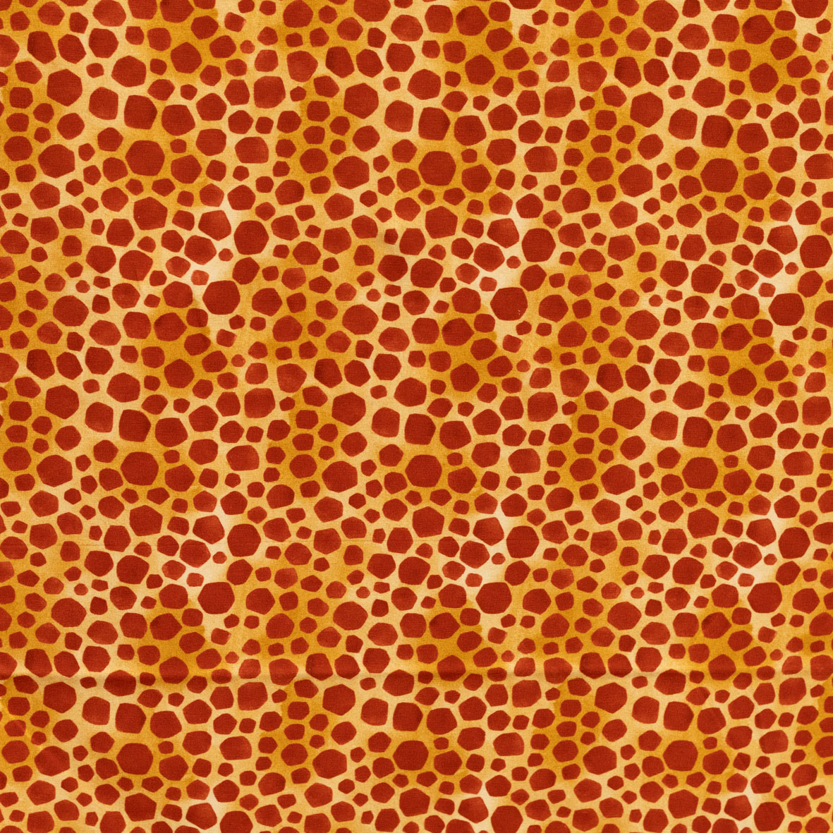 Bild von  Baumwolljersey Giraffen Muster