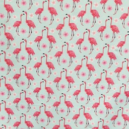 Bild von Baumwolljersey Flamingo pink mint