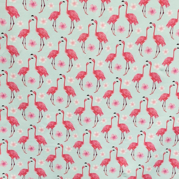 Bild von Baumwolljersey Flamingo pink mint