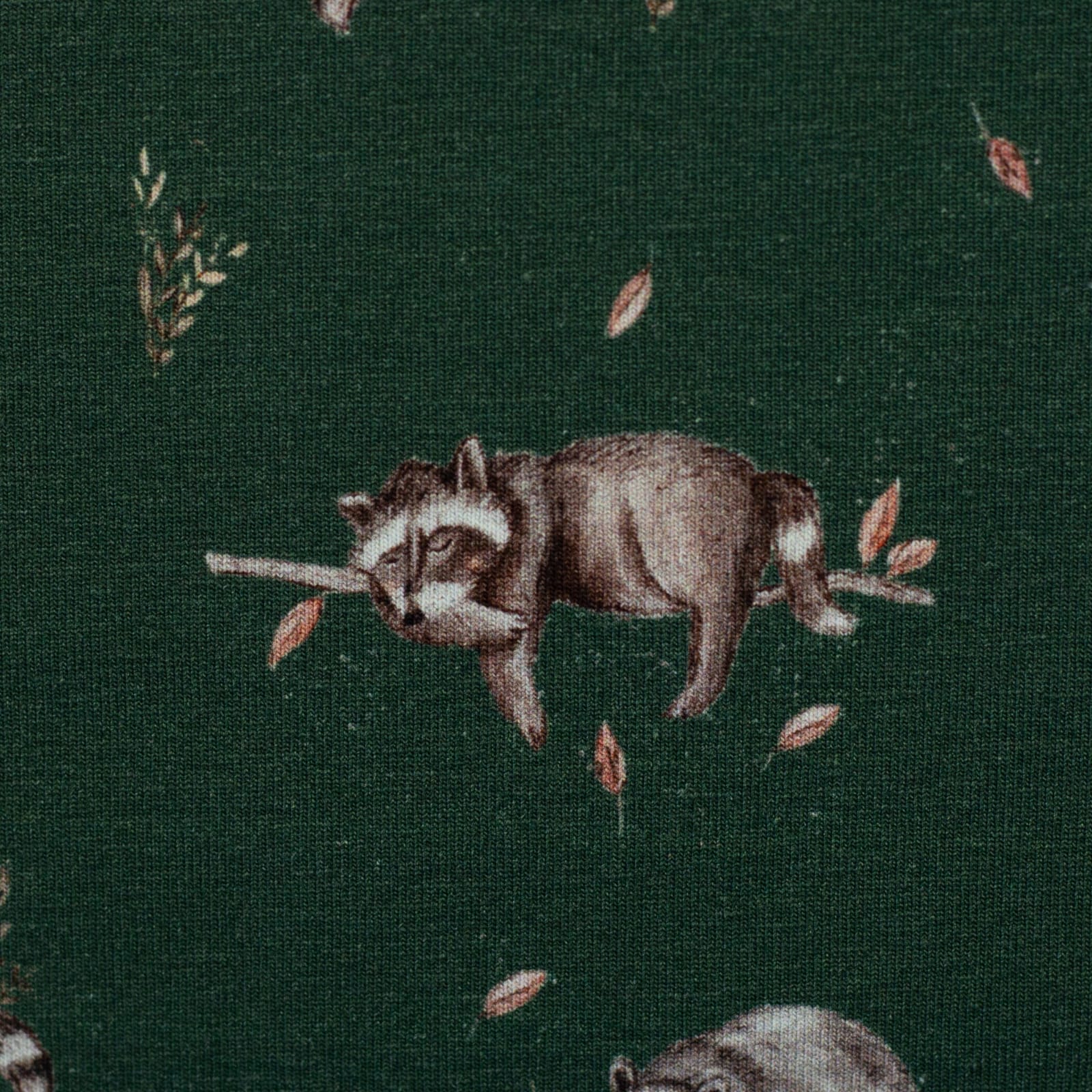 Bild von Life in the Forest