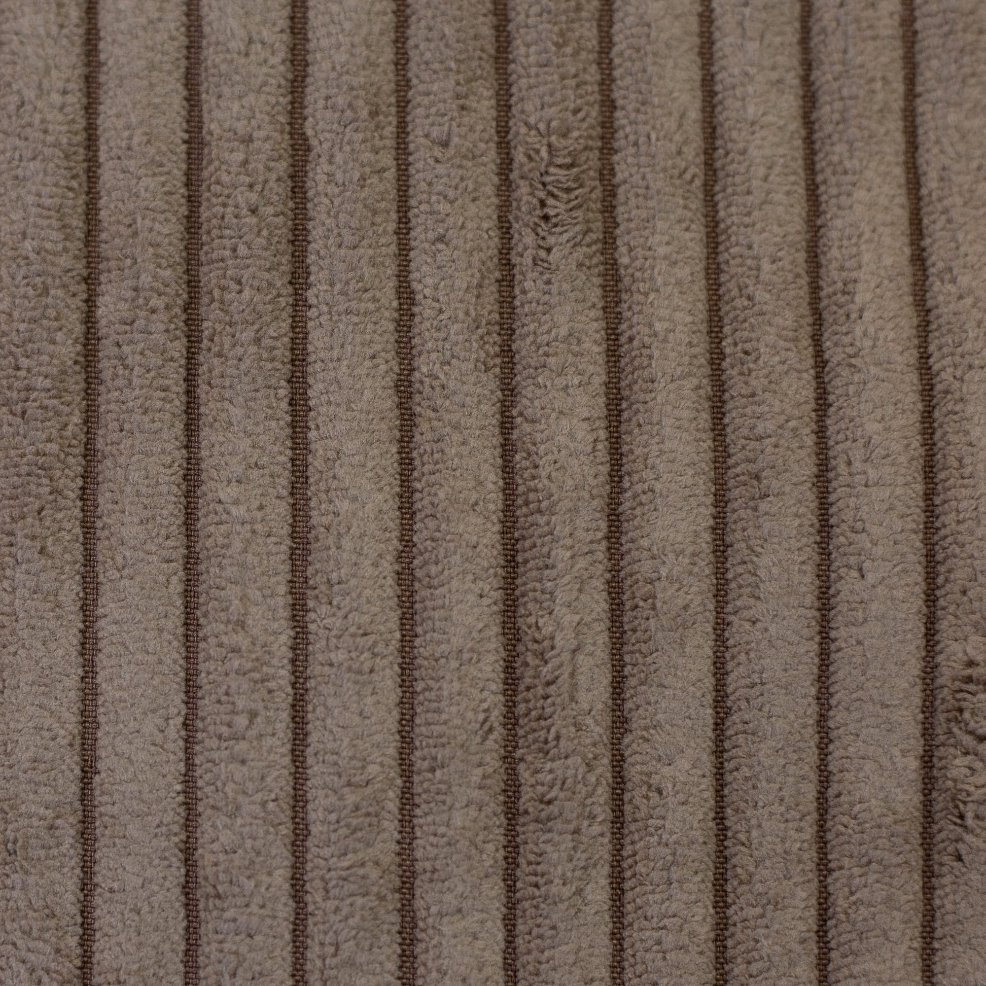 Bild von Wanja Cord-Samt